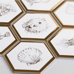 Płytka Heksagon XL Queen Sea Coral