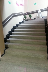Tiles-granite-steps-top-flamed-Cristal--Grey-.jpg