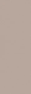 Matowa powierzchnia Basic Taupe 100x300 cm Grespania