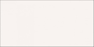 STARK BLANCO 60X120.jPG