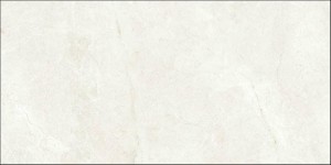 PALERMO BONE 80X160.JPG