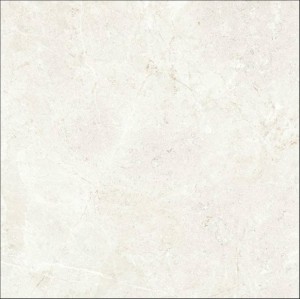 PALERMO BONE 60X60.JPG