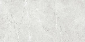 PALERMO GRIS 60X120.JPG