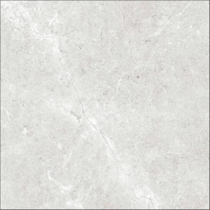 PALERMO GRIS 60X60.JPG