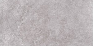 ARLES GRIS 60X120.JPG