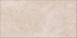 ARLES ARENA 60X120.JPG