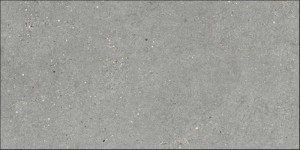 MITICA 10MM GRIS 60X120.jpg
