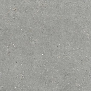 MITICA 10MM GRIS 120X120.jpg