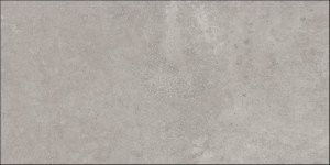 MOMA 10MM GRIS 60X120.jpg