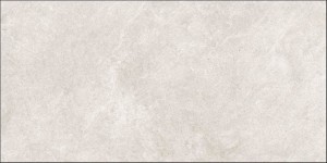 ARLES BLANCO 60X120.JPG