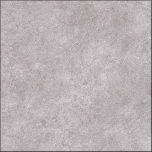 ARLES GRIS 120X120.JPG