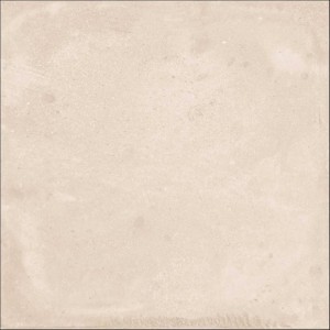 ALCHEMY VISON 20X20.jpg