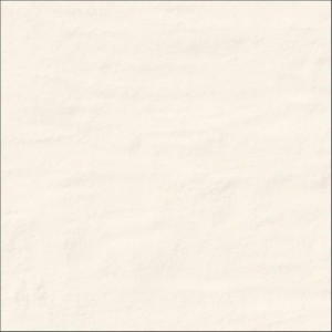 płytka porcelanowa DOVER ARENA 20X20