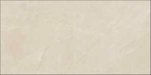 MARMOREA PULPIS 60X120.jpg