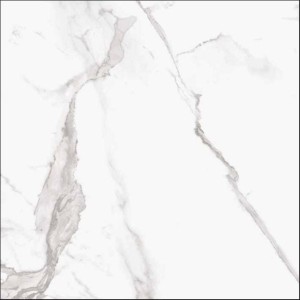 MARMOREA ESTATUARIO 60,5X60,5.jpg