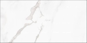 MARMOREA ESTATUARIO 30X60.jpg