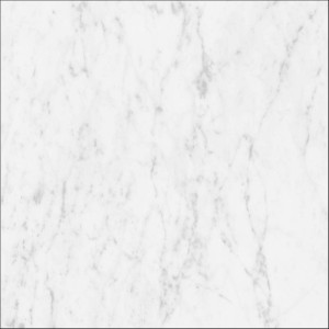 MARMOREA CARRARA 60,5X60,5.jpg