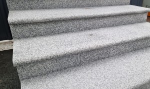 g603 płomień 3.jpg