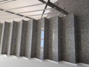20180624_095854.jpg