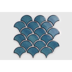 p-ytka-flabellum-adriatyk-po-ysk (3).jpeg