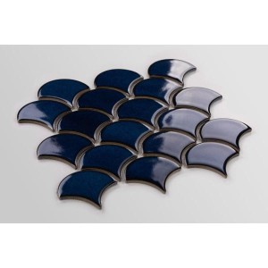 p-ytka-flabellum-g-bia-oceanu-po-ysk (2).jpeg