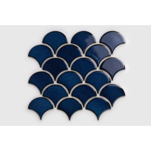 p-ytka-flabellum-g-bia-oceanu-po-ysk (3).jpeg