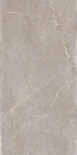 blue-moon-taupe-60x120-1677766037-0.jpg