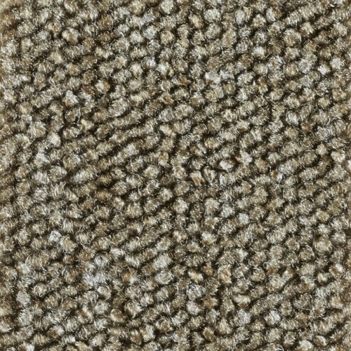 7202-tortora.jpg