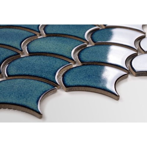 p-ytka-flabellum-adriatyk-po-ysk (1).jpeg