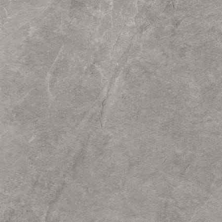 ash-ash-silver-1197-x-1197-1637593562-0.jpg