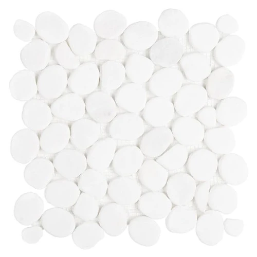 Big-Don-560x560.jpg