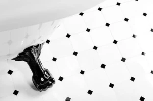 Pure-BW-Octagon-100-bathroom-560x373.jpg