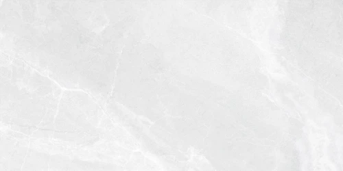 babilon-silver-60x120-lappato-mat-0.jpg