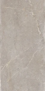 blue-moon-taupe-60x120-1677766037-0.jpg