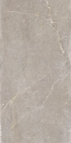 blue-moon-taupe-60x120-1677766037-0.jpg