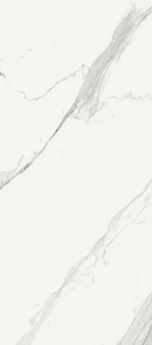 Estatuario-Ex-Blanco-120x278--plyta-do-wnetrz-i-elewacji-o-polysku_1.webp