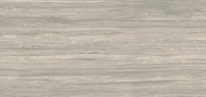 Szara-wielkoformatowa-plyta-Silk-Gris-120x260-cm-mat.webp