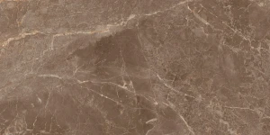 LITOS-BROWN-60x120x2-min.jpg