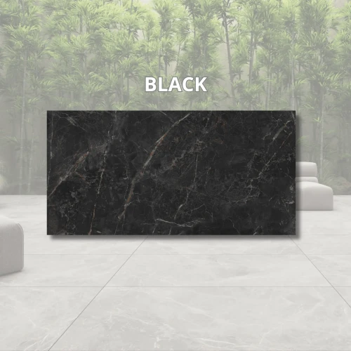 litos-black-60x120x2-full.webp