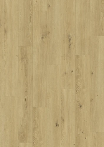 NAT_833_XploraPROVE_NP_8810_Oak_royal_warm_V4_mus_result.webp