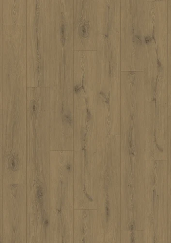 NAT_833_XploraPROVE_NP_8818_Oak_feral_brown_V4_mus_result.webp