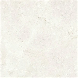 PALERMO BONE 60X60.JPG