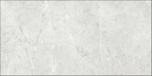 PALERMO GRIS 60X120.JPG