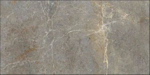 PALERMO TAUPE 60X120.JPG