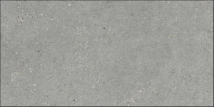 MITICA 10MM GRIS 60X120.jpg
