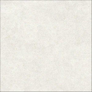 PANGEA ARENA 120X120.jpg