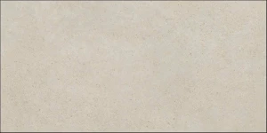 PANGEA GREIGE 60X120.jpg
