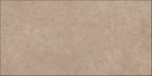 PANGEA TIERRA 60X120.jpg