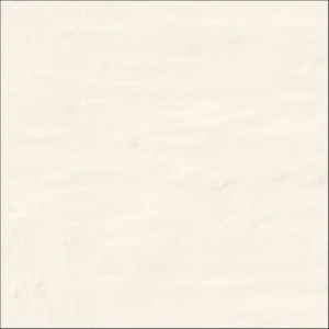 DOVER ARENA 20X20.jpg