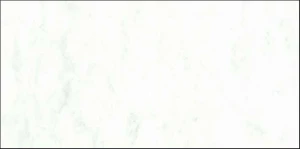 MARMOREA CARRARA 28X59.jpg